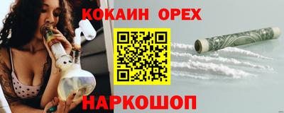 мдпв Камышлов