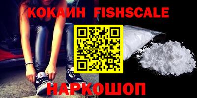 мдпв Камышлов