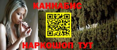 мдпв Камышлов